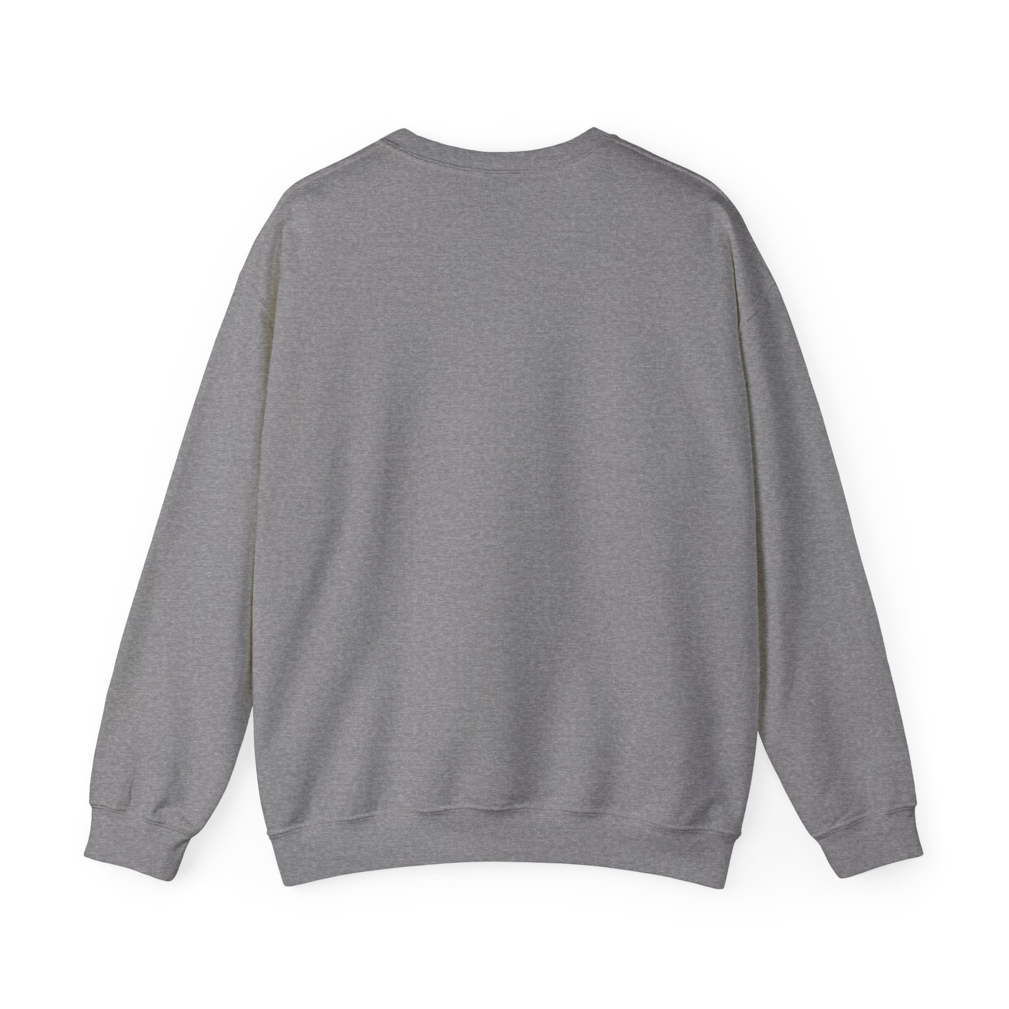 Freedom Protester Illustration Sweatshirt | Political Rally Graphic - Image 14