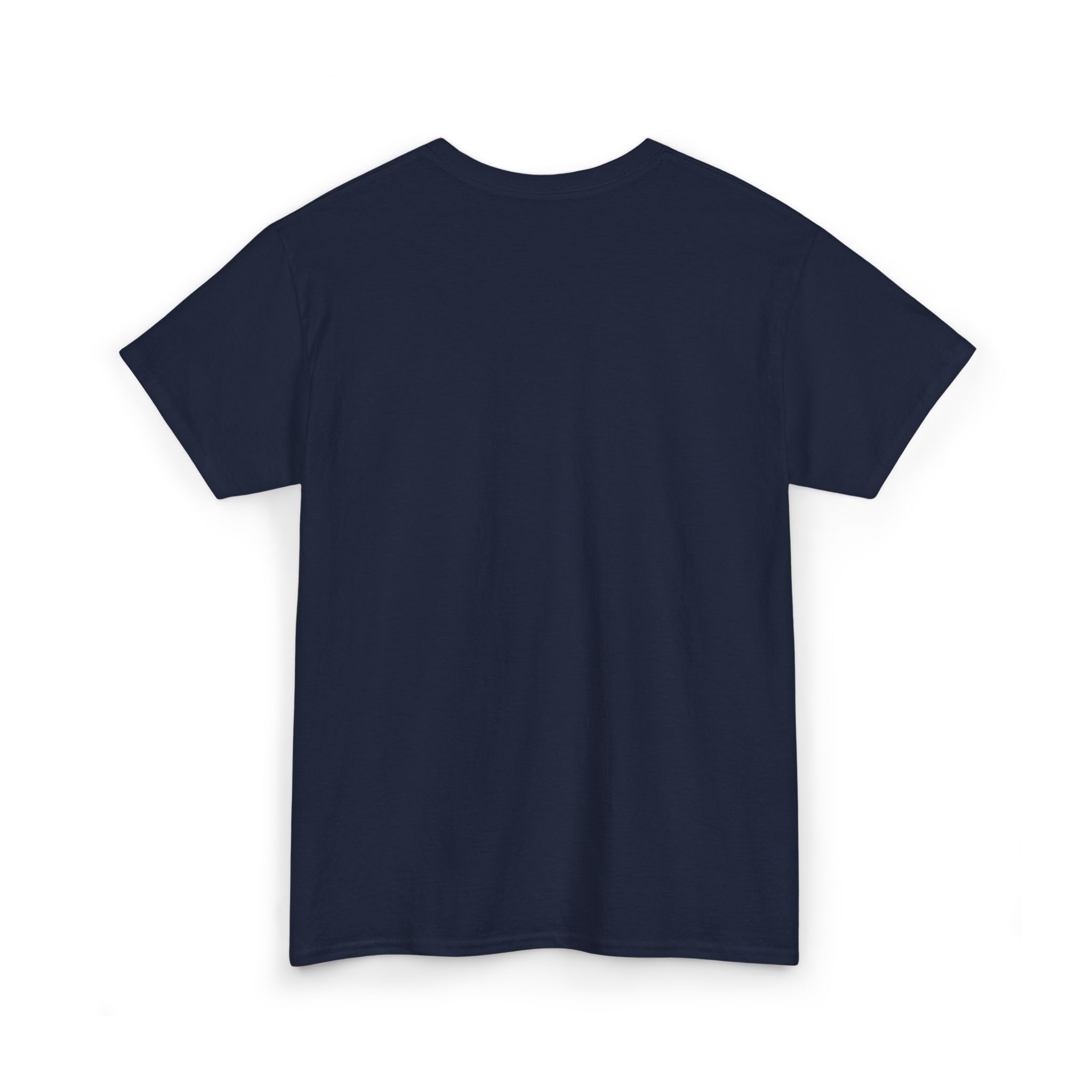 I Am NOT Muslim I Am Persian T-Shirt | Lion & Flag Persian Pride Tee - Image 28