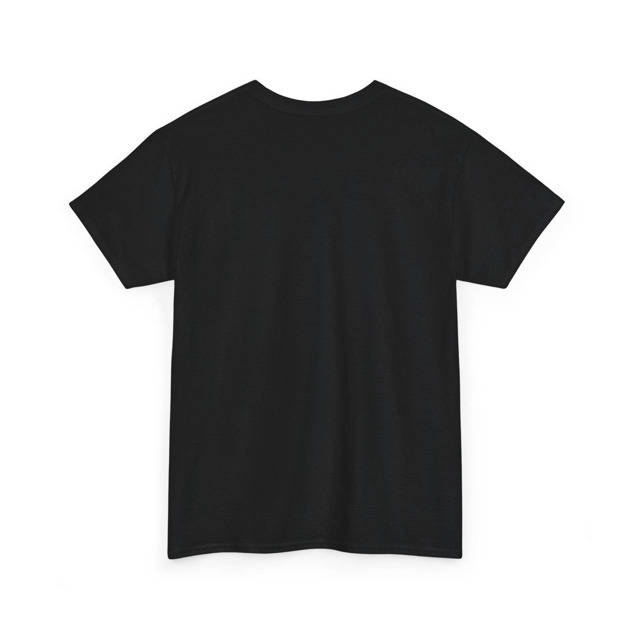 I Am NOT Muslim I Am Persian T-Shirt | Lion & Flag Persian Pride Tee - Image 8