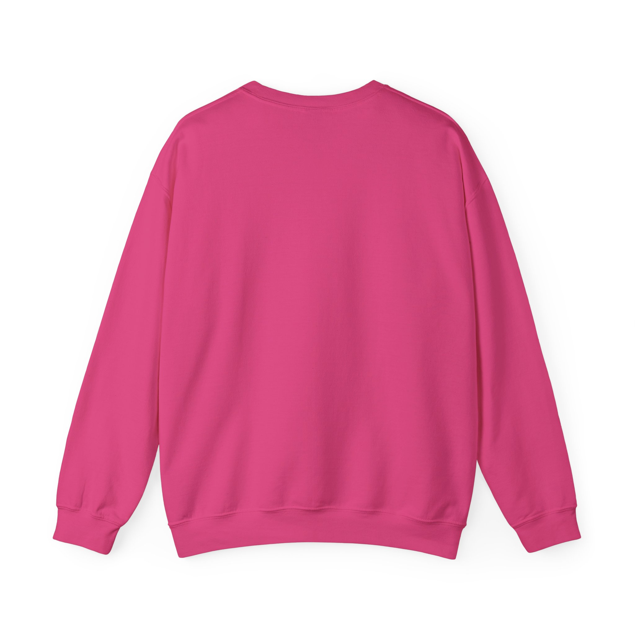 Freedom Protester Illustration Sweatshirt | Political Rally Graphic - Image 30