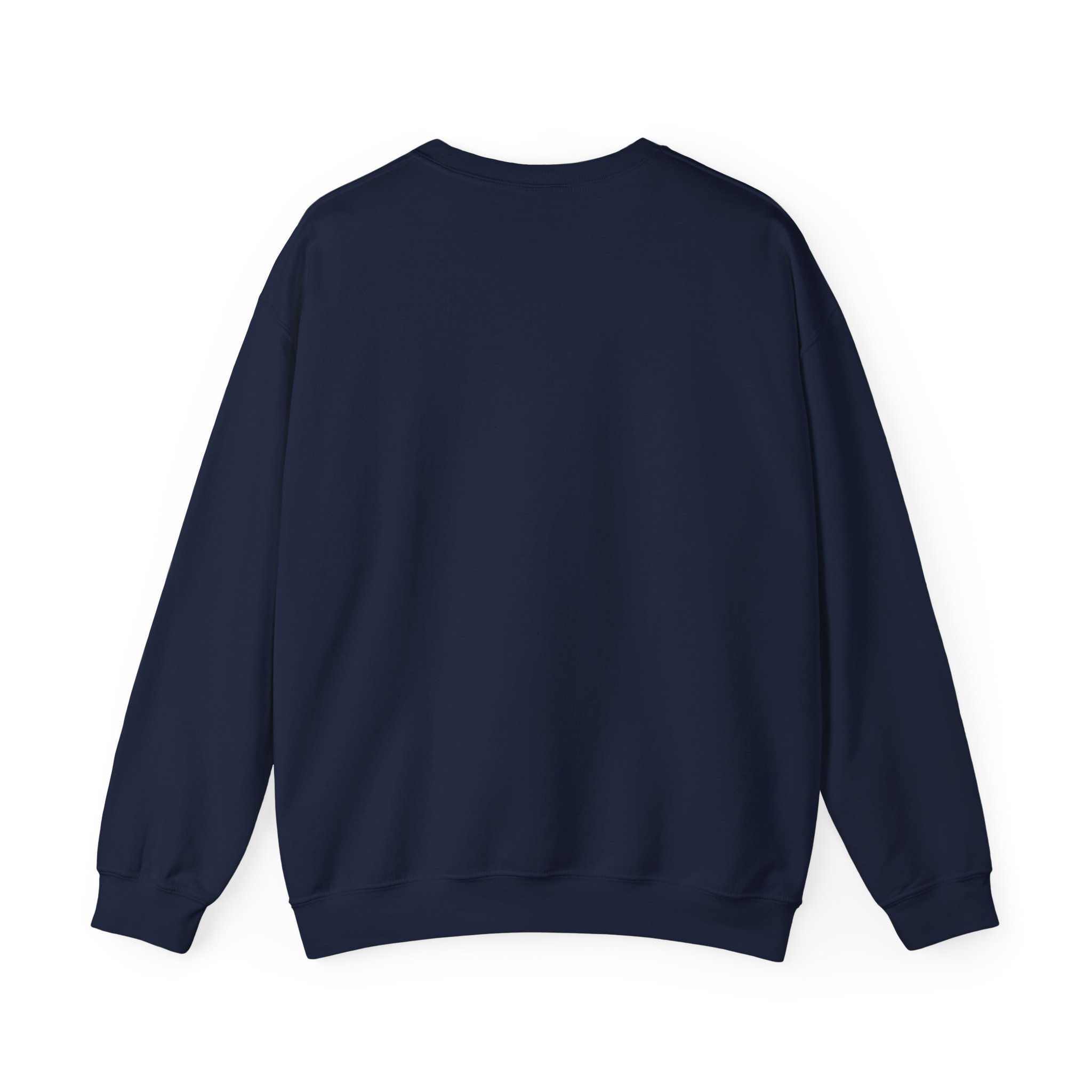 Freedom Protester Illustration Sweatshirt | Political Rally Graphic - Image 22