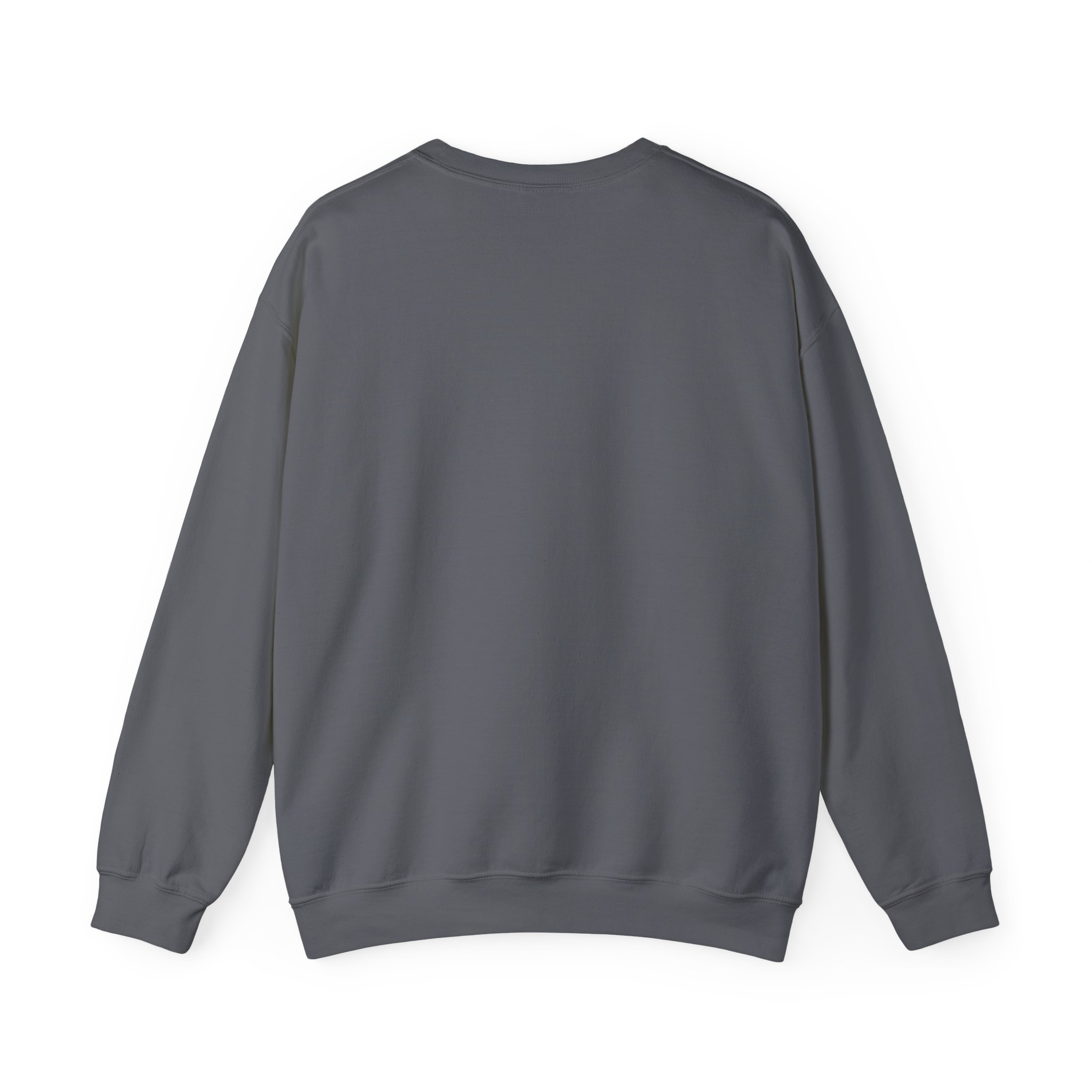 Freedom Protester Illustration Sweatshirt | Political Rally Graphic - Image 18