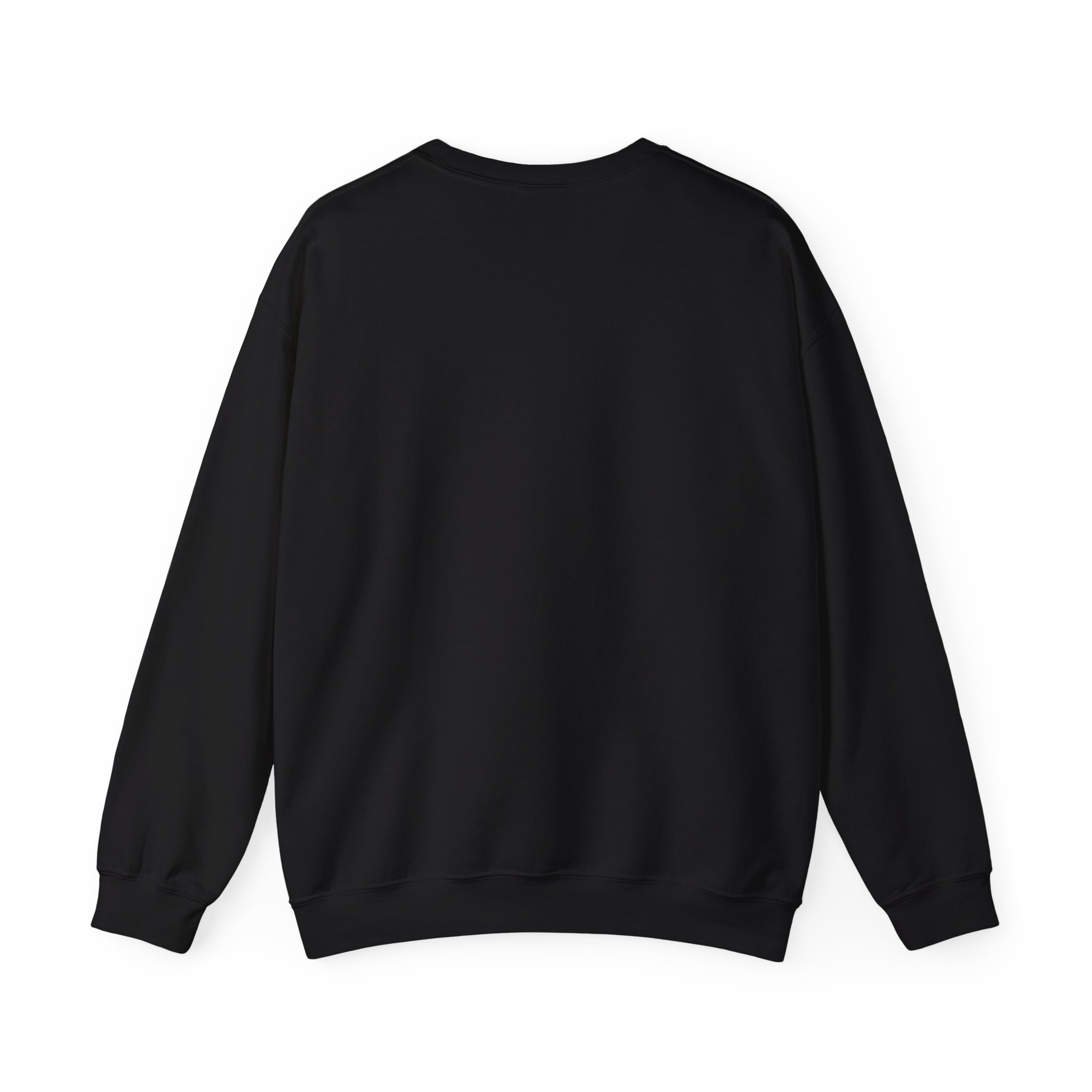 Freedom Protester Illustration Sweatshirt | Political Rally Graphic - Image 6