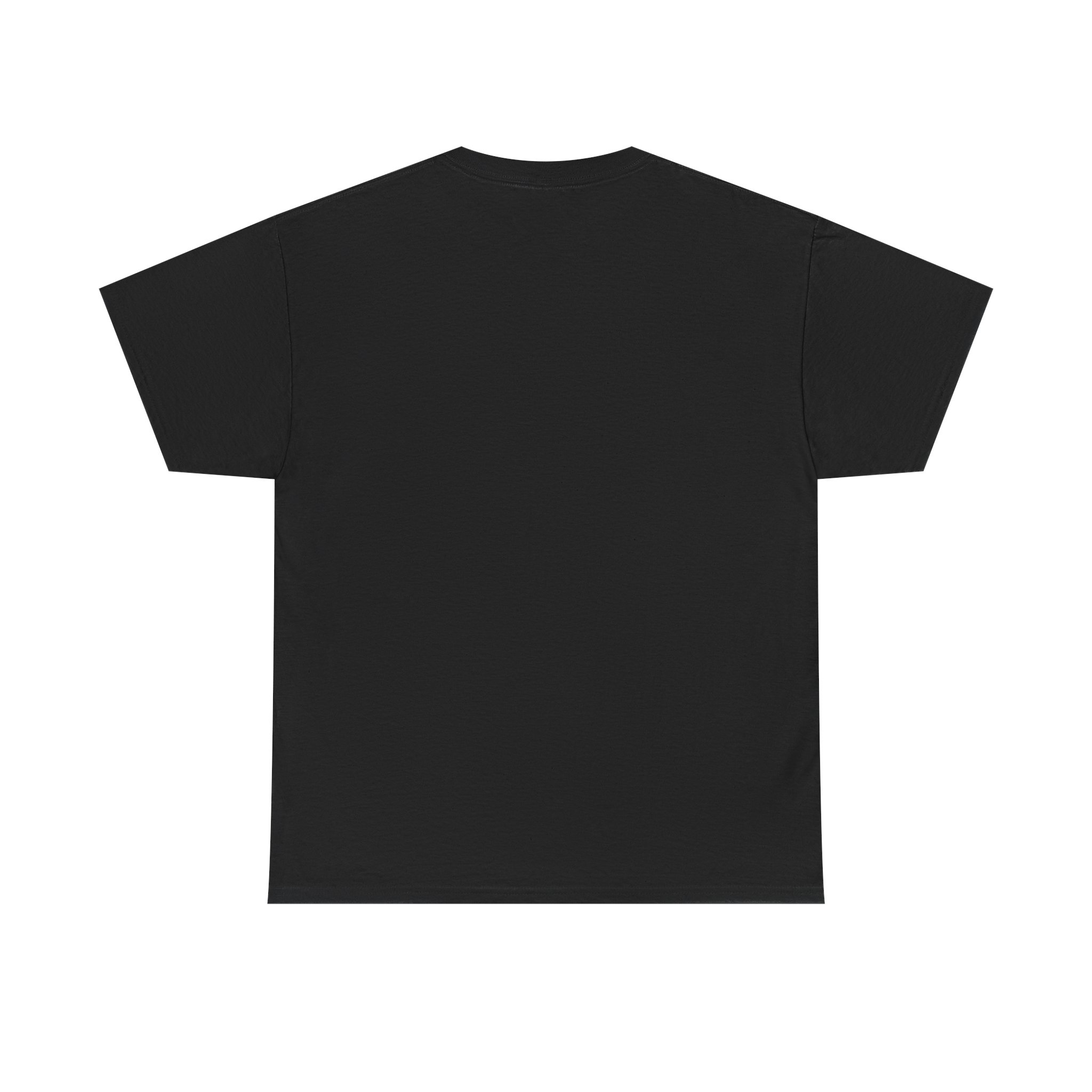 I Am NOT Muslim I Am Persian T-Shirt | Lion & Flag Persian Pride Tee - Image 6